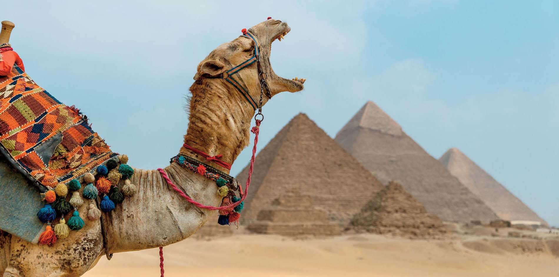 8 Tage Kairo und Nilkreuzfahrt